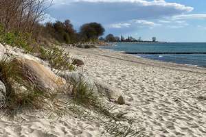 Property thumbnail 30