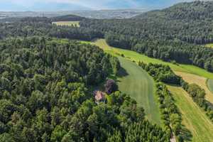 Alleinlage in Chamerau – Landhaus auf außergewöhnlichem Naturgrundstück mit Flussblick! – Cham (Kreis) – Vorschaubild 15