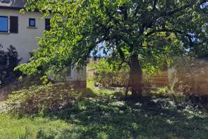 Einfamilienhaus (Erstbezug nach Sanierung) in Frankenthal (Pfalz) – Lessingstraße 4, 67227 Kernstadt, Frankenthal (Pfalz) – Vorschaubild 18