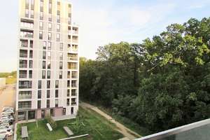 BEGEHRTER TYP 1 WIEDER ZU HABEN ... 3 KALTMIETEN FREI* ... – Nelkenweg 8, 38446 Hellwinkel, Wolfsburg – Vorschaubild 5