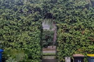 Property thumbnail 44