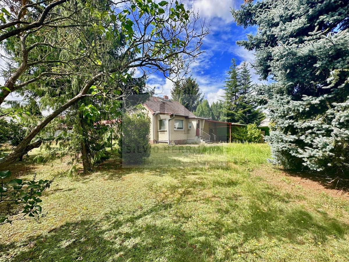 Sanierungsobjekt auf schönem Grundstück zu verkaufen!, Dahme Spreewald Kreis – Bild 1