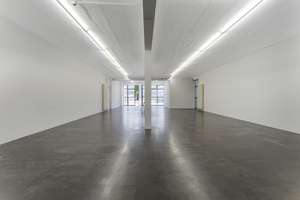 Design-Gewerbefläche Atelier Wohnen und Arbeiten neben Zoo, Flora und Rhein