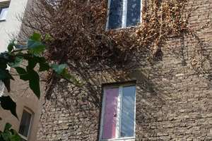 Mehrfamilienhaus in der beliebten Bonner Altstadt ! Ideal für Kapitalanleger ! – Die vollständige Adresse der Immobilie erhältst du vom Anbieter., 53111 Nordstadt, Bonn – Vorschaubild 3