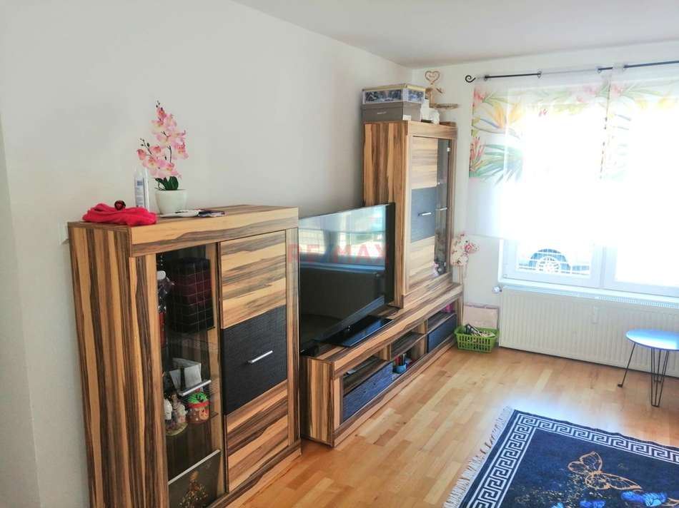 Wohnzimmer Fenster