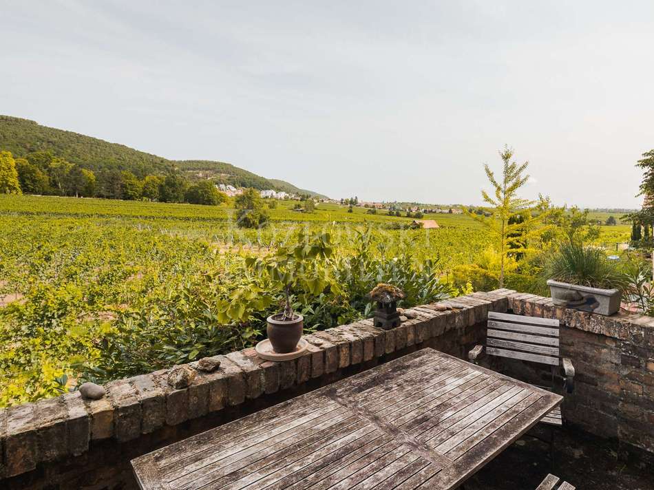 Terrasse am Weinberg