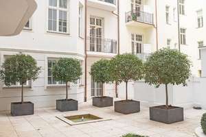 Möblierte Luxuswohnung im Lehel direkt am Englischen Garten, Isar – Die vollständige Adresse der Immobilie erhältst du vom Anbieter., 80538 Englischer Garten, München – Vorschaubild 15