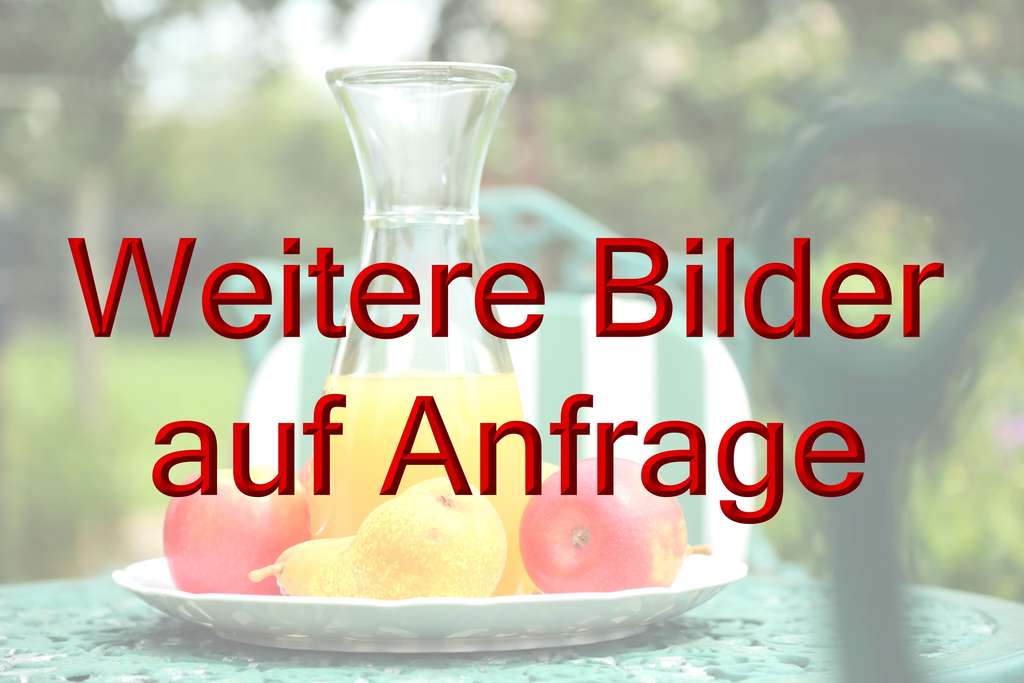 Immobilie in Bodenfelde - Landleben im Hochsolling: Hühner, Enten, Gänse, Pferde - Bild 4