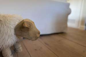 RESERVIERT - Reetgedeckte Doppelhaushälfte zum Verlieben – Die vollständige Adresse der Immobilie erhältst du vom Anbieter., 25980 Sylt (Gemeinde) – Vorschaubild 9