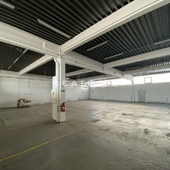 ca. 350 m² große ebenerdige Hallenfläche