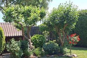 Familientraum mit zwei Wohneinheiten und Gartenidylle in Neindorf – Die vollständige Adresse der Immobilie erhältst du vom Anbieter., 38446 Neindorf, Wolfsburg – Vorschaubild 7