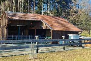 Bauernhaus/Bauernhof kaufen im Allgäu, absolute Alleinlage mit ca. 11 Hektar Wiesen für Mensch & Tie – Die vollständige Adresse der Immobilie erhältst du vom Anbieter., 87739 Breitenbrunn – Vorschaubild 20