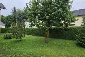 Besondere Doppelhaushälfte mit Einliegerwohnung in ruhiger Lage von Wifling zu verkaufen – Semptstraße 5, 85457 Erding (Kreis) – Vorschaubild 5