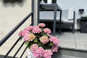 Property thumbnail 19