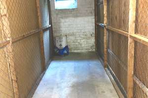 Charmante 2,5-Zimmer-Wohnung in Hamburg-Meiendorf – Schierenberg 71, 22145 Rahlstedt, Hamburg – Vorschaubild 11