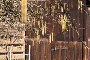 Property thumbnail 19