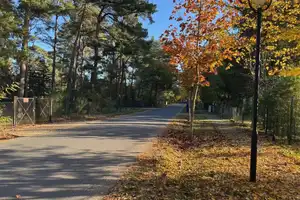 Endlich raus aus der Großstadt und rein ins Glück – Seekorso 22, 15754 Dahme-Spreewald (Kreis) – Vorschaubild 2