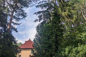 Kein Neubauwürfel, kein 08/15, Berliner Altbau-Schätzchen m. 1010m² Grundstück s. Menschen m. Ideen – Die vollständige Adresse der Immobilie erhältst du vom Anbieter., 12623 Mahlsdorf, Berlin – Vorschaubild 7