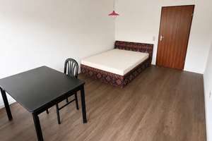 Renovierte & möblierte 1Z-ETW mit Balkon + Pantryküche, 26m² im EG, in bester Lage von Heidelberg – Fritz-Frey-Straße 6, 69121 Handschuhsheim, Heidelberg – Vorschaubild 3