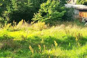 FINALER PREIS | PROVISIONSFREI | Bungalow Handwerkerobjekt auf Baugrundstück zum Bodenrichtwert – Oberhavel (Kreis) – Vorschaubild 3