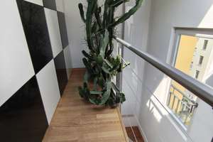 Property thumbnail 48