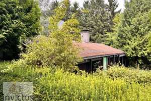 Märchenhaft wohnen – Ihr Naturparadies in Bullau – Odenwaldkreis – Vorschaubild 4