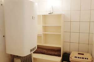 Kleines Haus in idyllischer Lage bei der Schlögener Donauschlinge in ÖSTERREICH – Die vollständige Adresse der Immobilie erhältst du vom Anbieter., 94107 Untergriesbach – Vorschaubild 11