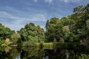 Property thumbnail 11