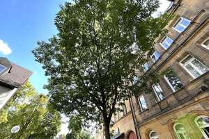 ** TOP View ** sanierte Dachloggia- Wohnung  **  Anno 1905  ** saniert 2016  ** U-Bahnanschluss ** – Grünstraße 5, 90439 St. Leonhard, Nürnberg – Vorschaubild 24