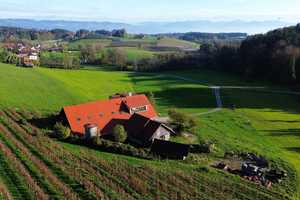 Exklusives Anwesen mit Wohn- und Landwirtschaftsnutzung in einzigartiger Panoramalage – Lindau (Bodensee) (Kreis) – Vorschaubild 6