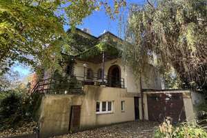 Halle-Innenstadt: Originale Villa zum Sanieren, für 1 bis 3 Familien, großes Park-Naturgrundst – Ratswerder 8, 6110 Südliche Innenstadt, Halle (Saale) – Vorschaubild 5