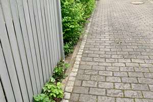 Property thumbnail 6