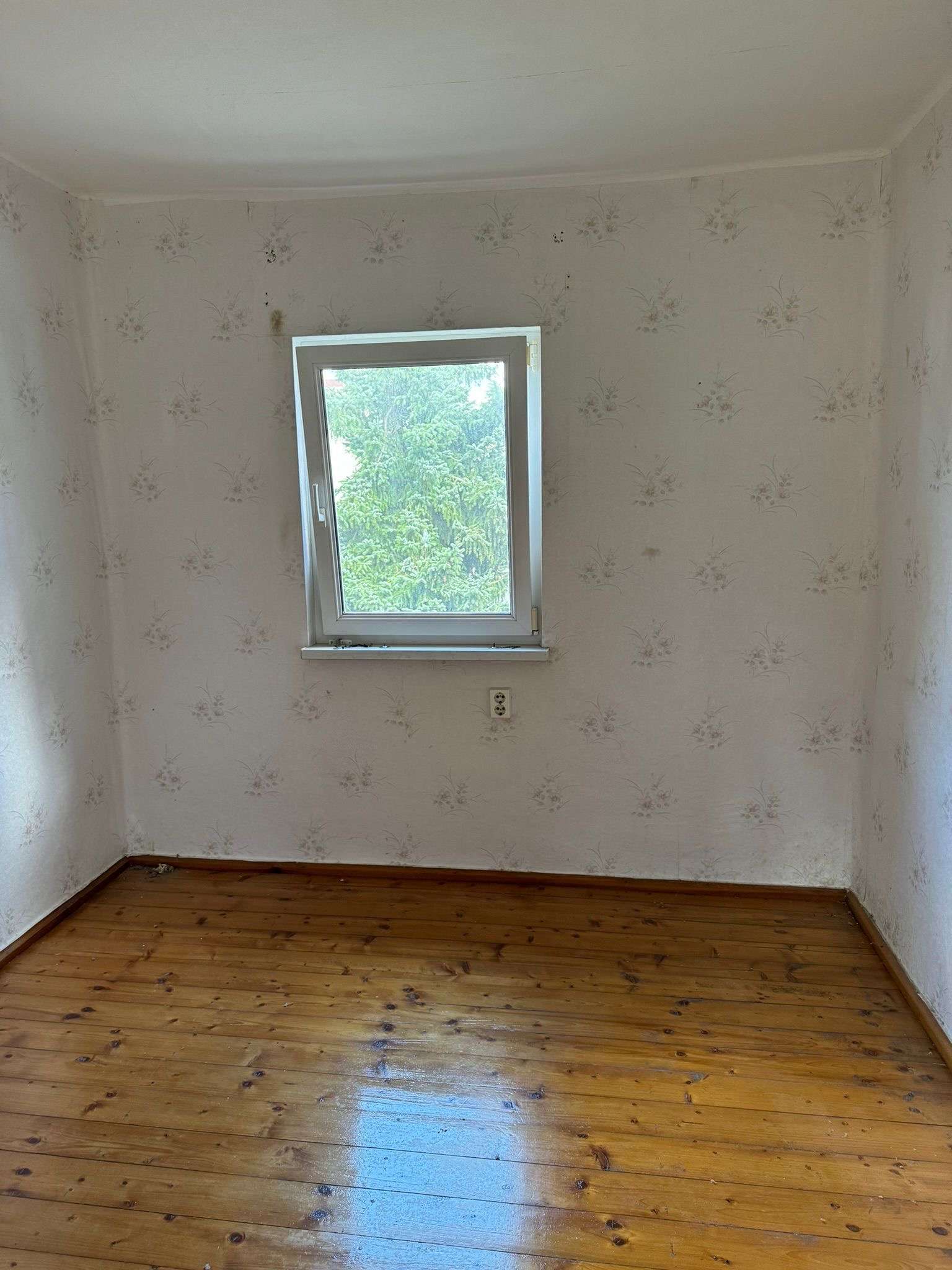 Immobilie in Peuschen - Einfamilienhaus auf dem Land für ambitionierte Handwerker - inkl. Sanierungsfahrplan - Bild 0