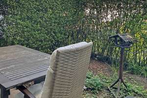 3-Zimmer-Erdgeschosswohnung mit Terrassen, Aufzug und Tiefgaragenstellplatz in Hannover-Kirchrode – Die vollständige Adresse der Immobilie erhältst du vom Anbieter., 30559 Bemerode, Hannover – Vorschaubild 10