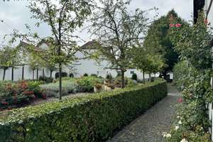 Historisches Fachwerkhaus in der Rietberger Innenstadt – Die vollständige Adresse der Immobilie erhältst du vom Anbieter., 33397 Rietberg – Vorschaubild 23