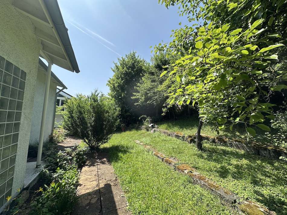 Garten Nord Blick nach West