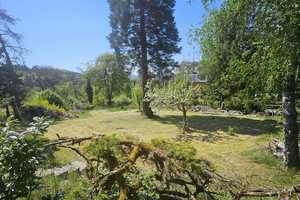großzügige villa mit Panoramablick, swimmingpool, kamin und riesig garten – Auf Haderstichsborr 33, 55743 Birkenfeld (Kreis) – Vorschaubild 34