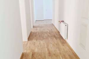 Terrasse - Stellplatz mgl. - Wanne u. Dusche - Parkett - Frei ab 1.4.26 – Humboldtstraße 3, 9130 Sonnenberg, Chemnitz – Vorschaubild 11