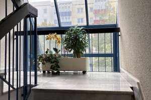 Praktisch geschnittene & lichtdurchflutete 2-Raum-Wohnung mit Balkon, Außenjalousien, Personenaufzug – Hermelinstr. 4, 4329 Heiterblick, Leipzig – Vorschaubild 12
