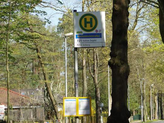 Massives Haus auf großem, bereits geteiltem Waldgrundstück, nahe Krüpelsee in Zernsdorf - Bild 5