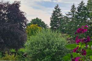 3-Zi.-ETW mit Balkon ca. 74 m² | Bremen-Woltmershausen – nah an Weser & Tabakquartier – Die vollständige Adresse der Immobilie erhältst du vom Anbieter., 28197 Woltmershausen (Ortsteil), Bremen – Vorschaubild 11