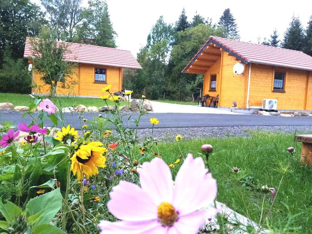 Immobilie in Grebenhain - Gasthof – Ferienhäuser – Wohnungen im Grünen in Ilbeshausen-Hochwaldhausen - Bild 3