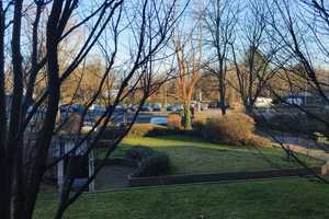 Fully Furnished 2-Room Apartment (67 sqm) for Sublet Near Cologne Zoo – June 2025 – Feb 2026 – Riehler Straße / 200, 50735 Köln – Vorschaubild 1