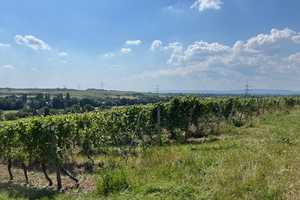 Neu! XL-Doppelhaushälfte klimafreundlich mit Keller und Luft-Wasser-Wärmepumpe: Flörsheim-Wicker – Goldbornstraße 23, 65439 Main-Taunus-Kreis – Vorschaubild 9