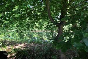 Property thumbnail 28