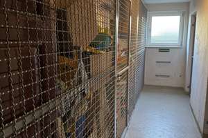 Top-Lage: Moderne 2-Zimmer-Wohnung mit großzügigem Balkon und PKW-Stellplatz – Raifeisenstraße 9, 64342 Seeheim-Jugenheim – Vorschaubild 24