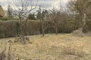 Wunderschön gelegenes Pachtgrundstück mit Bungalow in Seenähe – Schleiweg 334-336, 15537 Oder-Spree (Kreis) – Vorschaubild 9