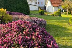 Stadtvilla mit Ausbaureserve und vielfältiger Entwicklungsperspektive – 31008 Elze – Vorschaubild 3