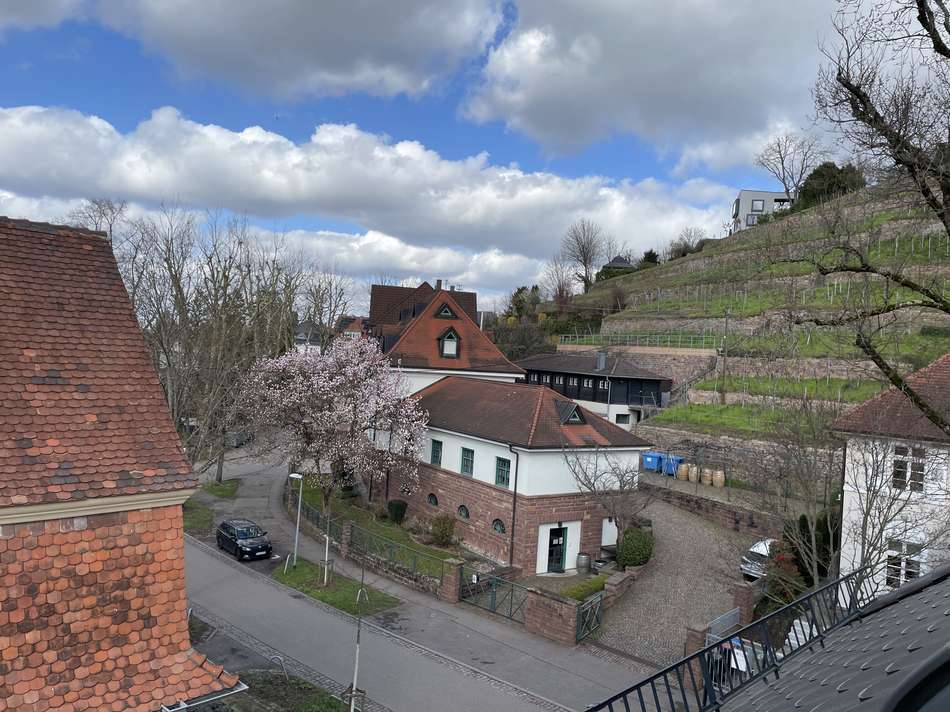 Blick aus dem Dachfenster