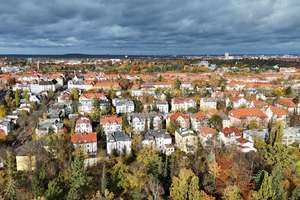 3.200,- pro QM- 1 BIS 3 FAMILIEN- STUCKVILLA zum Sanieren +Erweitern für 500qm Wfl-1117qm Grund – Die vollständige Adresse der Immobilie erhältst du vom Anbieter., 12205 Lichterfelde, Berlin – Vorschaubild 6